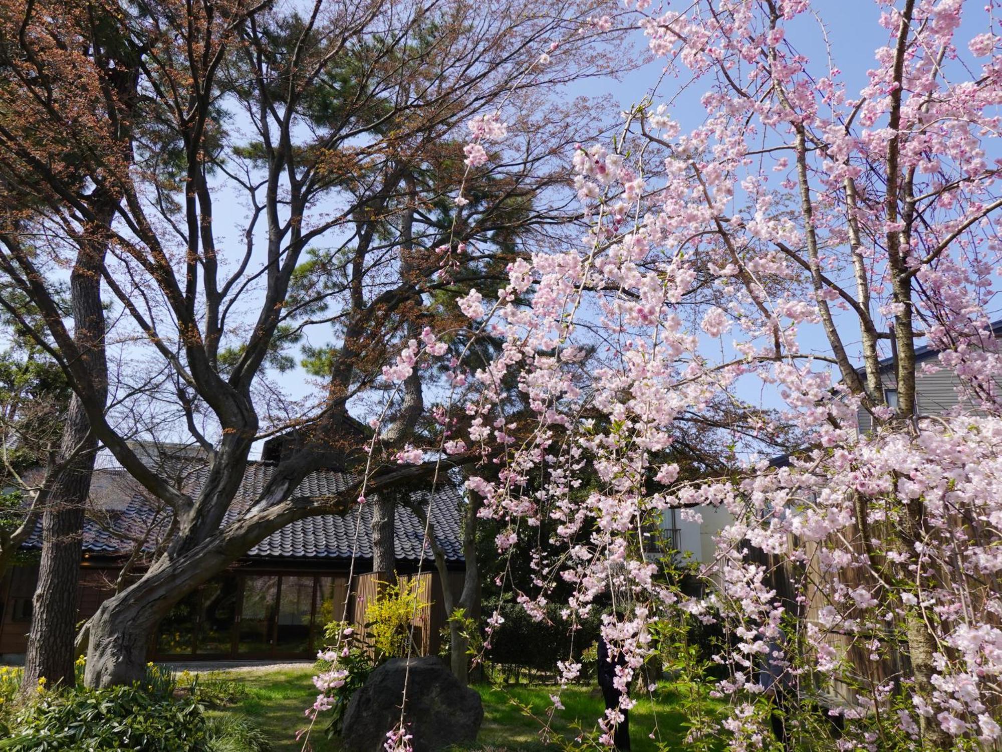 Hotel Machi No Odoriba Kanazawa Esterno foto